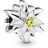 Pandora Reflexions "Edelweiss" Blume 798243ENMX