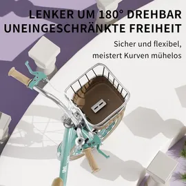 habib gruppe Mädchenfahrrad Klassik | Inkl. Luftpumpe | 6-teiligem Schutz-Set | Kohlenstoffstahlrahmen & Duales Bremssystem | Mitwachsend & sicher... | Türkis