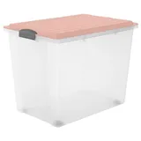 Rotho Compact Aufbewahrungsbox 57 x 39,5 x 43,5 cm 1-tlg. rosa