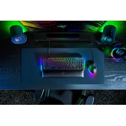 Razer BlackWidow V4 - Tastatur - Hintergrundbeleuchtung
