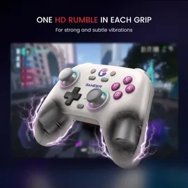GameSir Nova Wireless Controller Retro White für Nintendo Switch