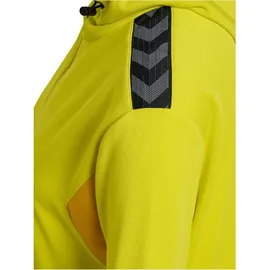 hummel hmlAUTHENTIC PL Zip Hoodie WOMAN blazing yellow S