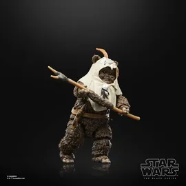 Hasbro Star Wars Paploo 15 cm - Mehrfarbig