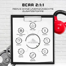 Vit4ever GEN BCAA 2:1:1 Pulver 500 g