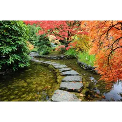 Fototapete PAPERMOON "GARTEN-BÄUME BLUMEN PFLANZEN PARK STEINE WALD BLÜTEN", bunt, B:4,00m L:2,60m, Vlies, Tapeten