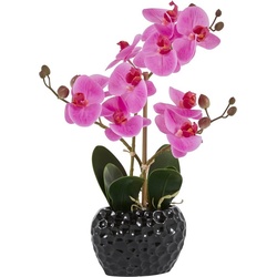Kunstpflanze Orchidee Orchidee, Leonique, Höhe 38 cm, Kunstorchidee, im Topf lila|schwarz 13 cm x 38 cm x 6,5 cm