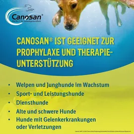 Boehringer Ingelheim Canosan Kautabletten für Hunde 30 St.