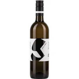 Glatzer Grüner Veltliner 6 x 0,75 l