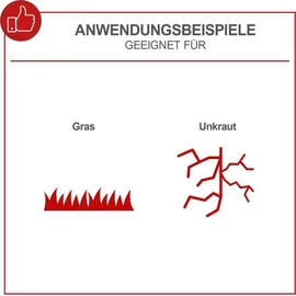 SCHEPPACH EGT350 inkl. 3 x Ersatzfadenspule