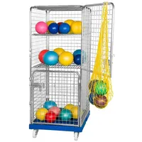 Sport-Thieme Materialwagen ""Classic-Rollbox N°5"", Mit 1 festem und 1 Einlegeboden, 2 Türen