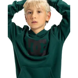DC Shoes DC Star Green 158