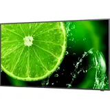 NEC MultiSync E558 55"