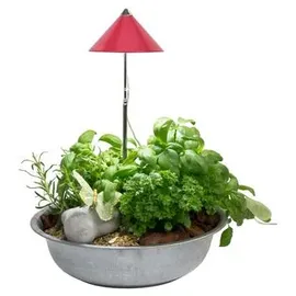 Parus by Venso SUNLiTE 7W LED Pflanzenlampe Rot