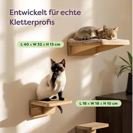 knupis Katzen Kletterwand Set mit Katzenbett & 2X Katzentreppe – Kiefernholz, Stabile Wandliege bis 30 kg – Für Spielspaß & Gemütlichkeit - Beige