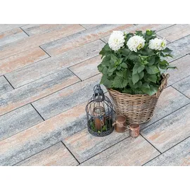 Diephaus Terrassenplatte Langas Muschelkalk 80 x 20 x 6 cm PE3