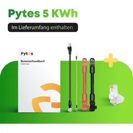 pytes Spezial-Akku LiFePO 4 48 V/DC 100 mAh 1 St.