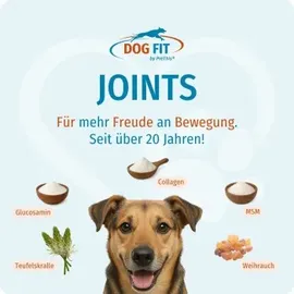 DOG FIT by PreThis DOG FIT Joints Kapseln 71 g
