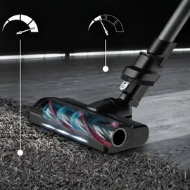 Rowenta X-Force Flex 9.60 Allergy Schwarz