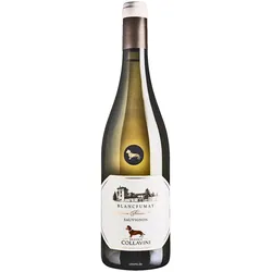 18er Set Collavini Blancfumat Sauvignon Collio 2023