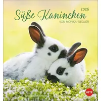 Heye Süße Kaninchen Postkartenkalender 2026 Monika Wegler setzt in