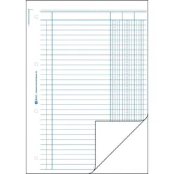 Avery Zweckform Kolonnen-Durchschreibbuch A4 3 Kolonnen 2x50 Blatt