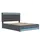 XDOVET Polsterbett 140 x 200 cm Grau