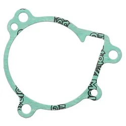 ATHENA Dichtung, Wasserpumpe S410250024001
