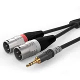 SOMMER CABLE Audio Adapterkabel HBA-3SM2-0150 1x XLR-Stecker 3-polig / 1x Klinkenstecker 3,5mm 1,5m (HBA-3SM2-0150)