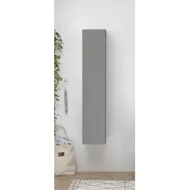 Home Affaire Infinity Mehrzweckschrank 29 x 138 x 30 cm Grau