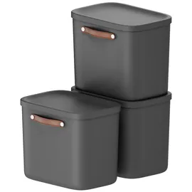 Rotho Stapelbox Maloja 39,5 x 26,5 x 34 cm 3-tlg. schwarz
