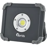 Fortis 4317784704205