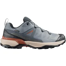 Salomon X Ultra 360 GTX Herren Castlerock/Black/Silver Cloud 48