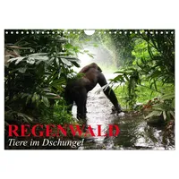 Calvendo Regenwald Tiere im Dschungel (Wandkalender 2026 DIN A4