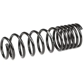 Eibach Fahrwerksatz, Federn