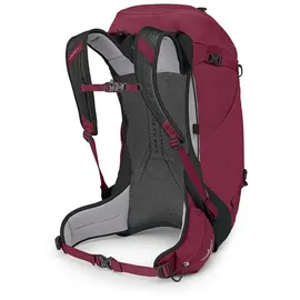 Osprey Hikelite 32 Chameleon/Black