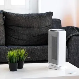 Cecotec ReadyWarm 6400 2000 W Grau/Weiß