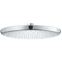 Grohe Tempesta 250 Kopfbrause 1 Strahl (chrom)