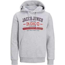 Jack & Jones Kapuzensweatshirt New Denim Hoody mit Kapuze