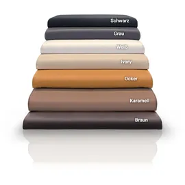 Betten-ABC Bubema Polster-Steckkissen 2er-Set Karamell