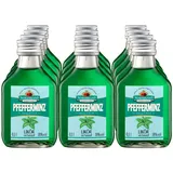 Nordbrand Nordhausen Pfefferminzlikör 18,0 % vol 100 ml, 12er Pack