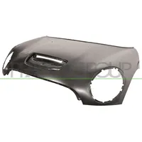 PRASCO Motorhaube