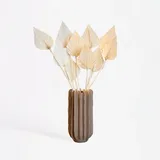 Plant in a Box - Getrocknete Blumen - 10 Stk. - Strauß 'Palmspear Bleached White'