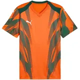 Puma teamFINAL Graphic Trikot Orange/Weiß L