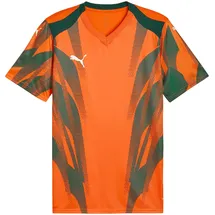 Puma teamFINAL Graphic Trikot Orange/Weiß L