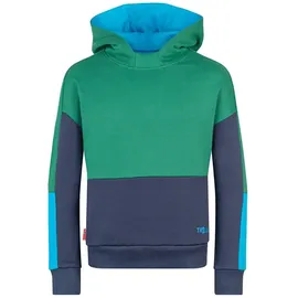 TROLLKIDS Hoodie Rondane Grün 128