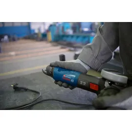 Bosch GWS 17-125 Professional