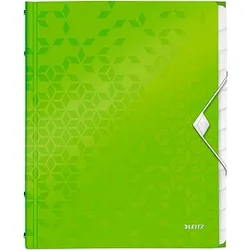 LEITZ Ordnungsmappe WOW 4634 12 Fächer grün