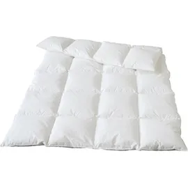 Traumina Plume Bio Daune WK 4 (Größe: 200x220 cm
