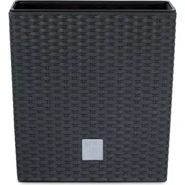 Prosperplast Rato Low 26,2 x 26,2 x 26,6 cm anthrazit