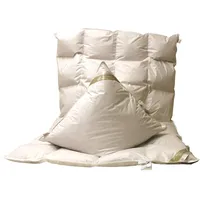 Betten Hofmann Set Daunendecke Daunenbett Bettdecke 4x6 155x220 cm 100% neue Daunen + Kissen - Weiß